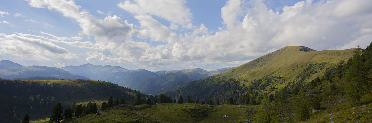 Nockberge im Sommer