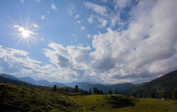 Nockberge im Sommer, saftige grüne Wiesen